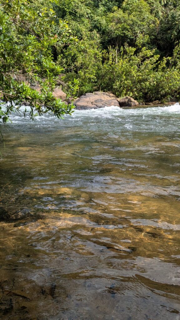 Bopath ella water fall water stream