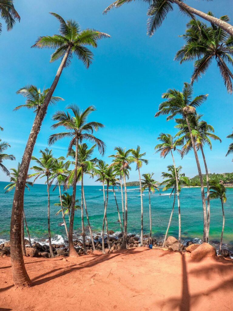 Coconut tree hill in Mirissa 